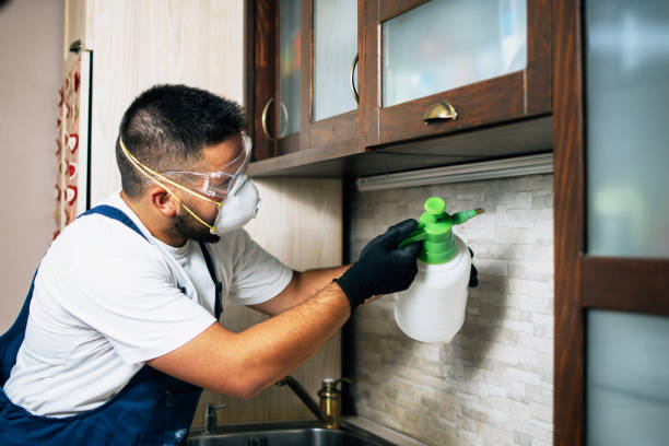 Best Exterminator Services  in Lockney, TX