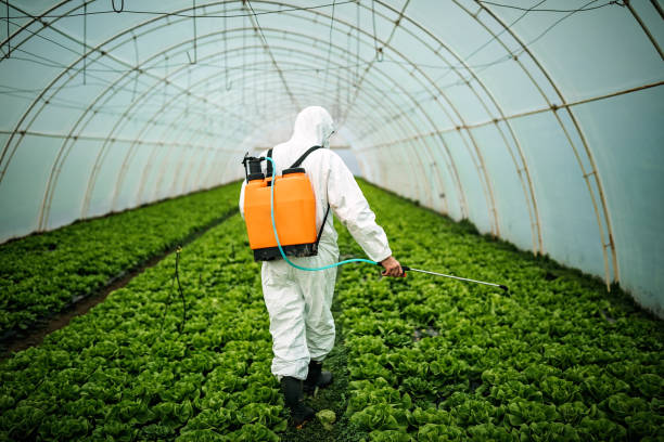 Reliable Lockney, TX Pest Control Solutions
