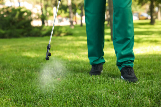 Best Residential Pest Control  in Lockney, TX