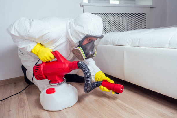 Best Wasp Removal Services  in Lockney, TX