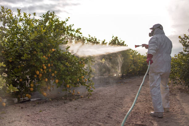 Best Pest Control Near Me  in Lockney, TX
