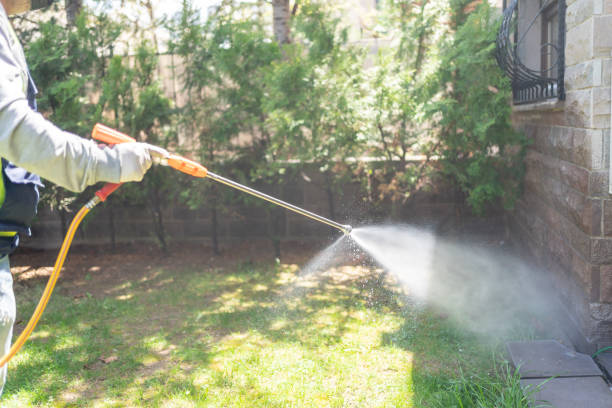 Best Ant Control Services  in Lockney, TX