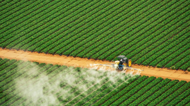 Best Pest Control for Homes  in Lockney, TX