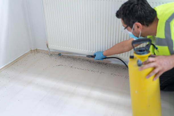 Best Best Pest Control Companies  in Lockney, TX