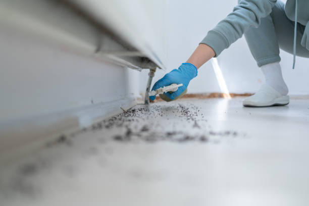 Best Mosquito Control Services  in Lockney, TX