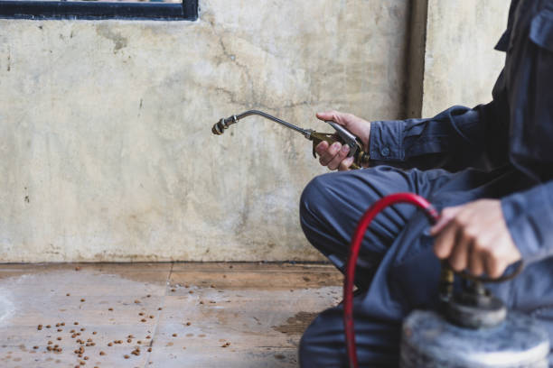 Best Residential Pest Control  in Lockney, TX
