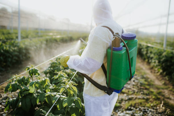 Best Pest Control Treatment  in Lockney, TX